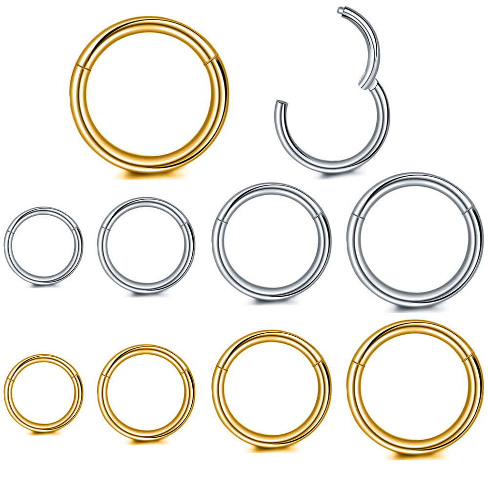 Body Jewelry Surgical Steel - 316L Surgical Steel Clicker Segment Nose