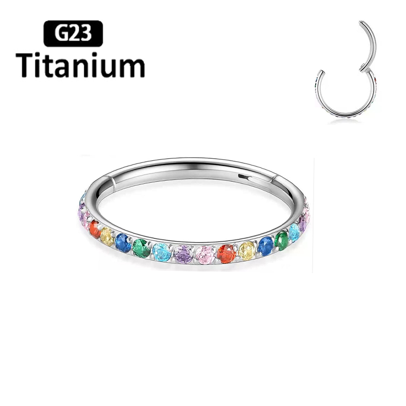 ASTM F136 Titanium Earrings Hi - Body Jewelry Quality recension och pris