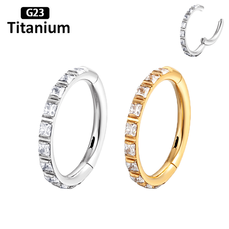 ASTM F136 Titanium Earrings Hi - Body Jewelry Quality recension och pris