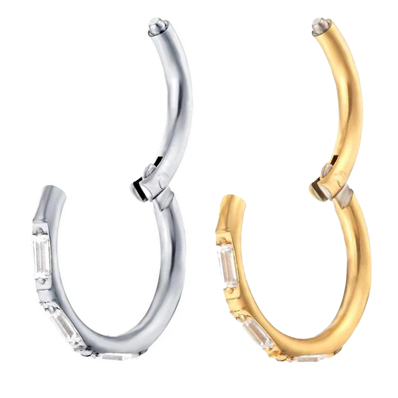 ASTM F136 Titanium Earrings Hi - Body Jewelry Quality recension och pris