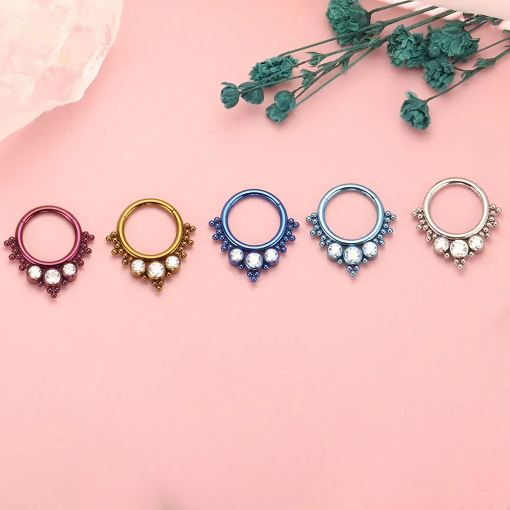 ASTM F136 Titanium Clicker Hig - Body Jewelry Quality recension och pris