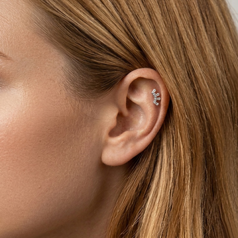 1 Pcs ASTM Titanium Helix Pier - Conch Earring Hoop recension och pris