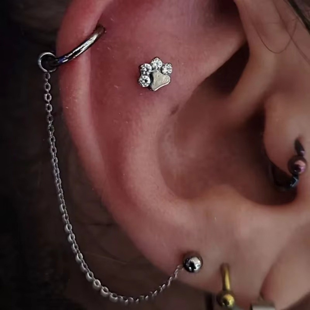 Titanium Nose Chain Three Laye - Body Jewelry Piercing recension och pris