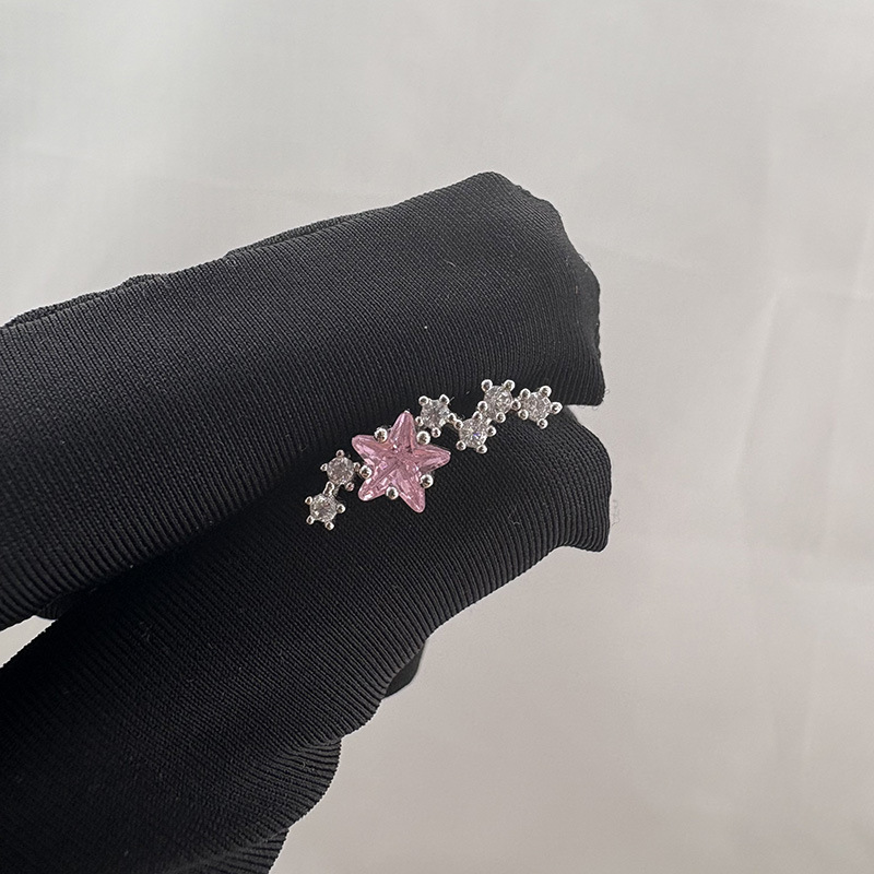 INS Style Full CZ Titanium Scr - Cluster Stud Ear recension och pris