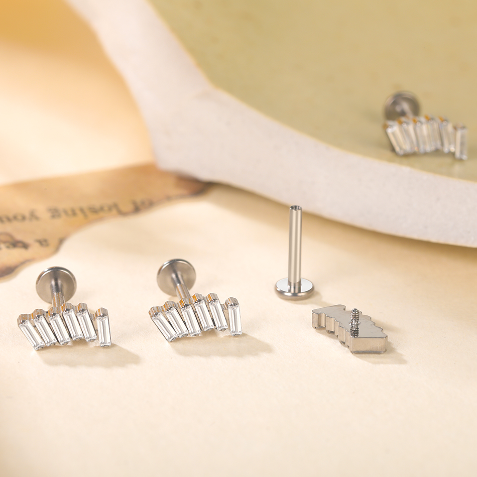 1/5Pcs G23 Titanium Ear Labret - Cluster Stud Ear recension och pris