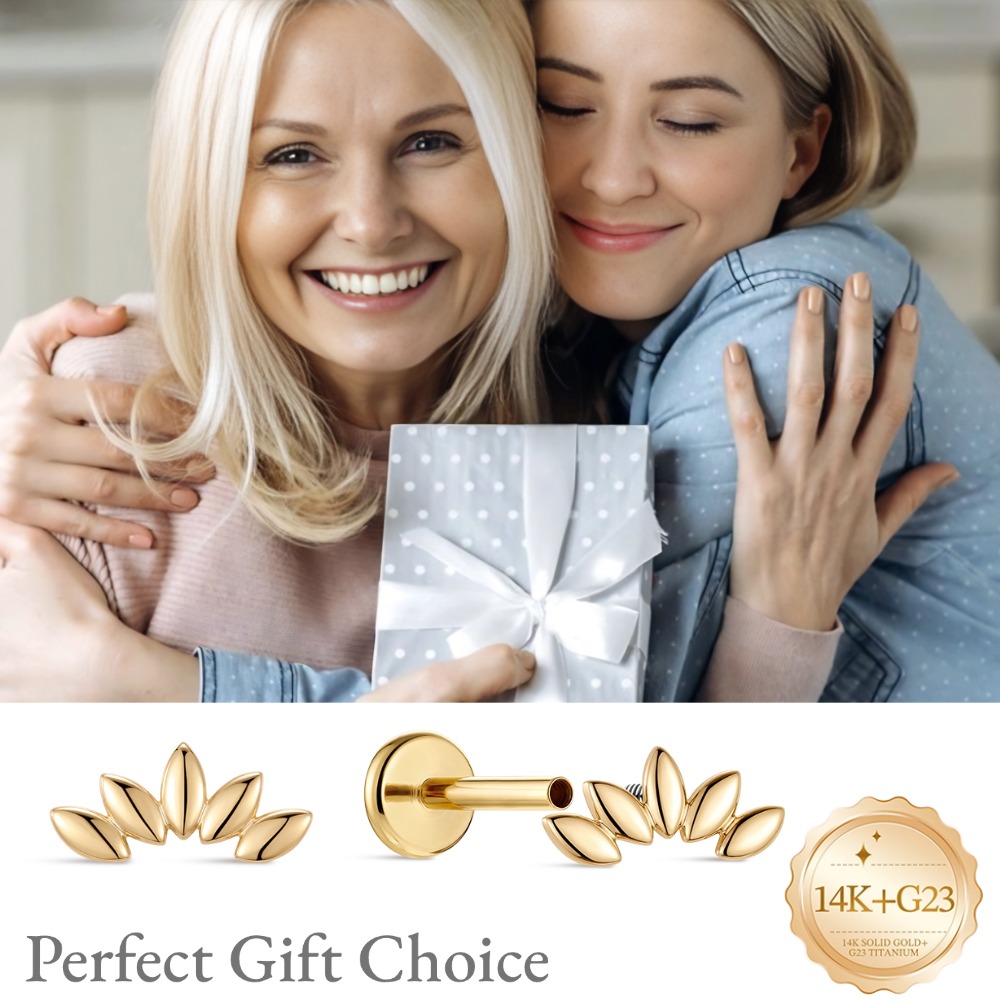DIeSchein 14K Solid Gold Stud  - Body Jewelry Hypoallergenic recension och pris
