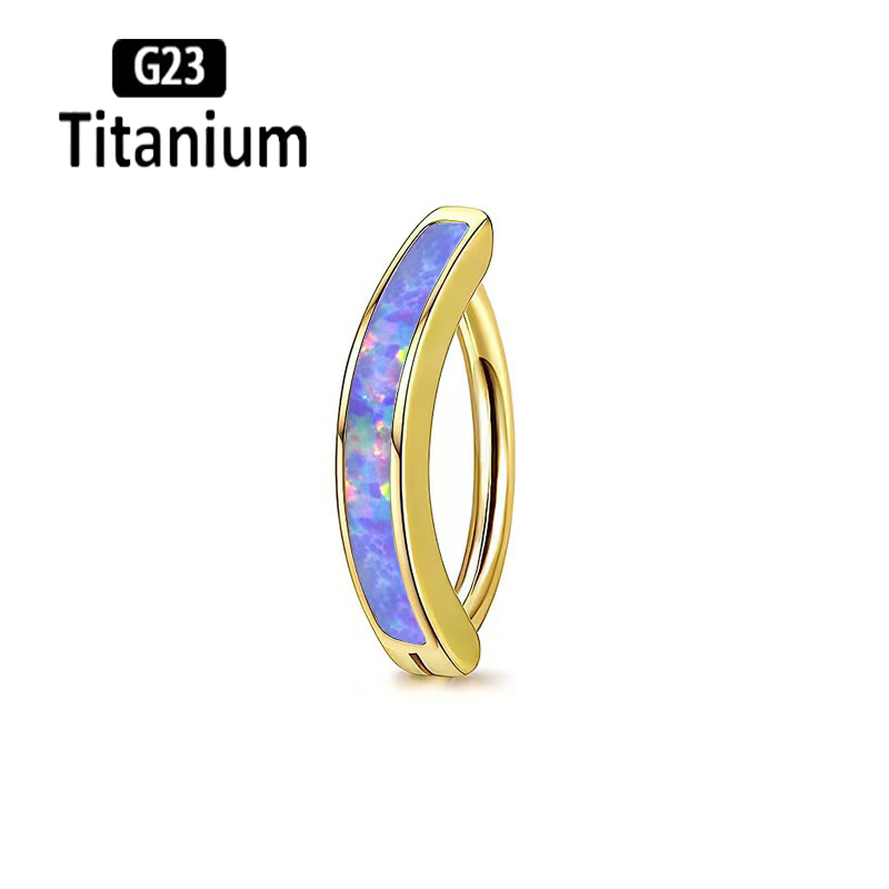 1PC 14G Implant Grade G23 Tita - Body Jewelry Implant Grade Titanium recension och pris