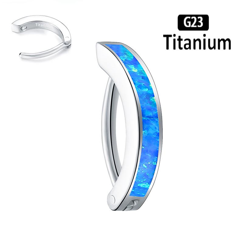 1PC 14G Implant Grade G23 Tita - Body Jewelry Implant Grade Titanium recension och pris
