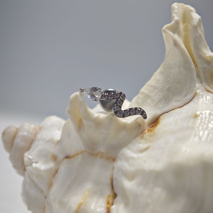 16G Titanium Implant Grade Hig - Body Jewelry Implant Grade Titanium recension och pris
