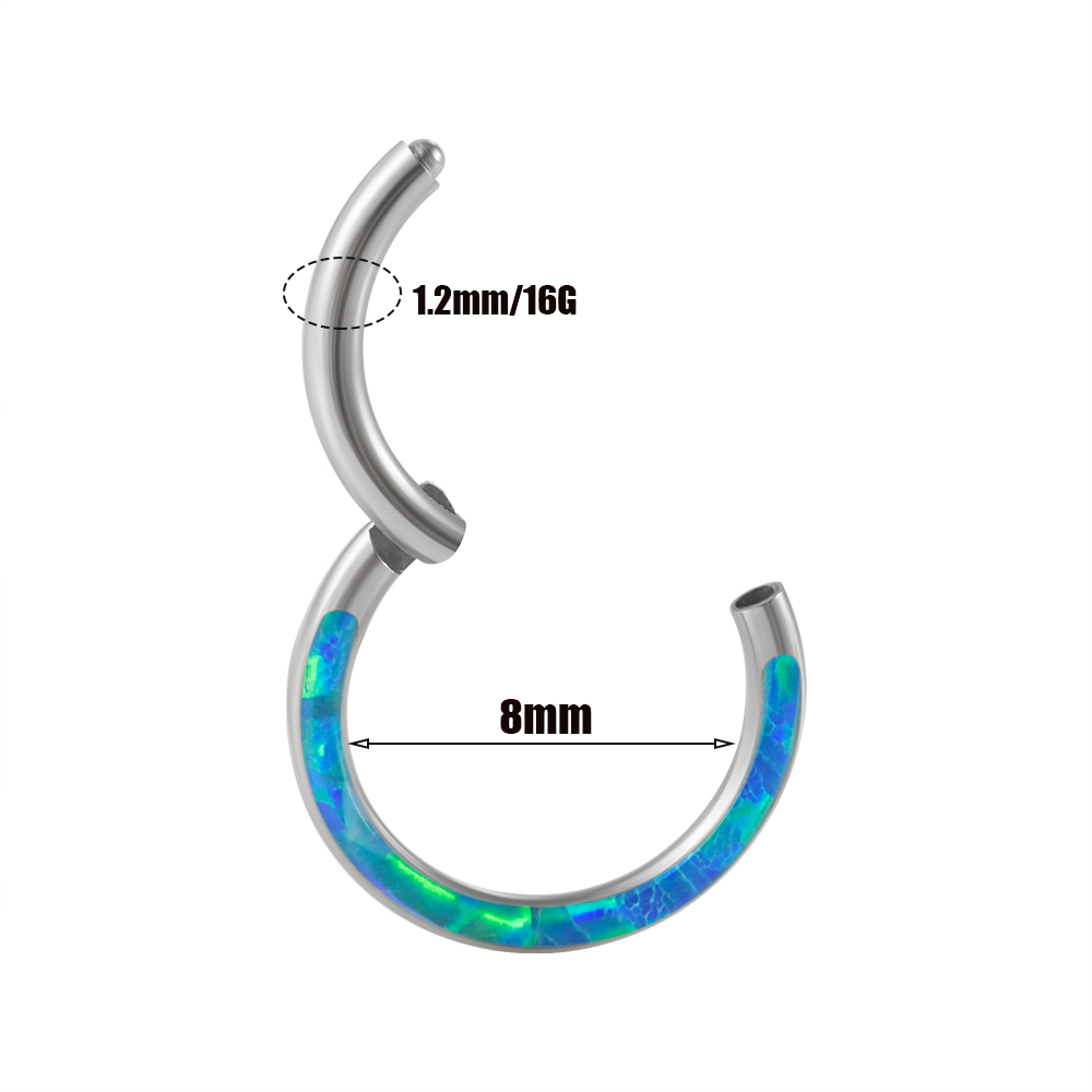 1PC Surgical Steel Opal Hinged - Body Jewelry Quality recension och pris