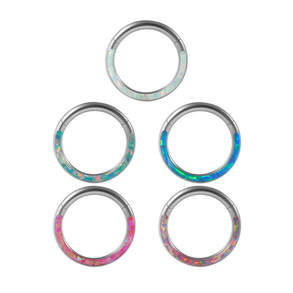 1PC Surgical Steel Opal Hinged - Body Jewelry Quality recension och pris