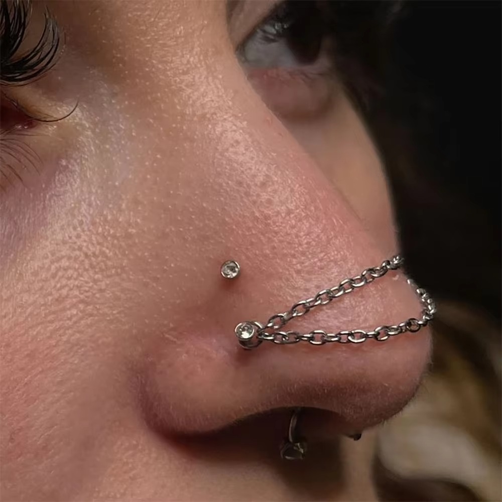 Fashion Titanium Nose Chain Do - Body Jewelry Piercing recension och pris