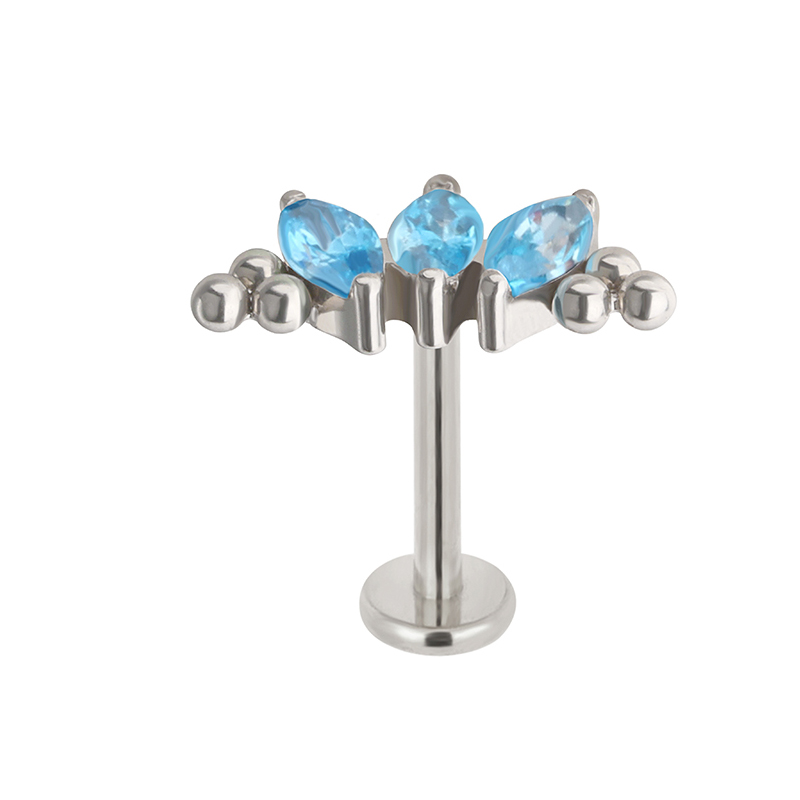 ASTM F136 Titanium PIERC 3 CZ  - Cluster Stud Ear recension och pris