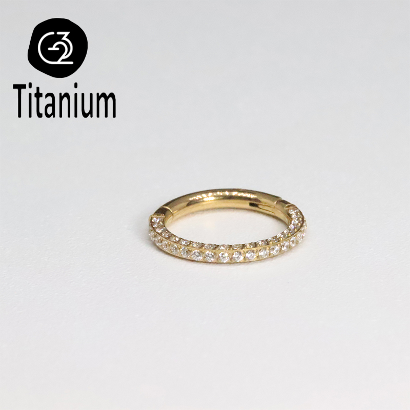 ASTM F136 G23 Titanium Piercin - Body Jewelry Quality recension och pris
