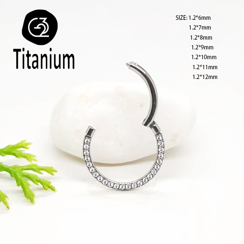 ASTM F136 G23 Titanium Piercin - Body Jewelry Quality recension och pris